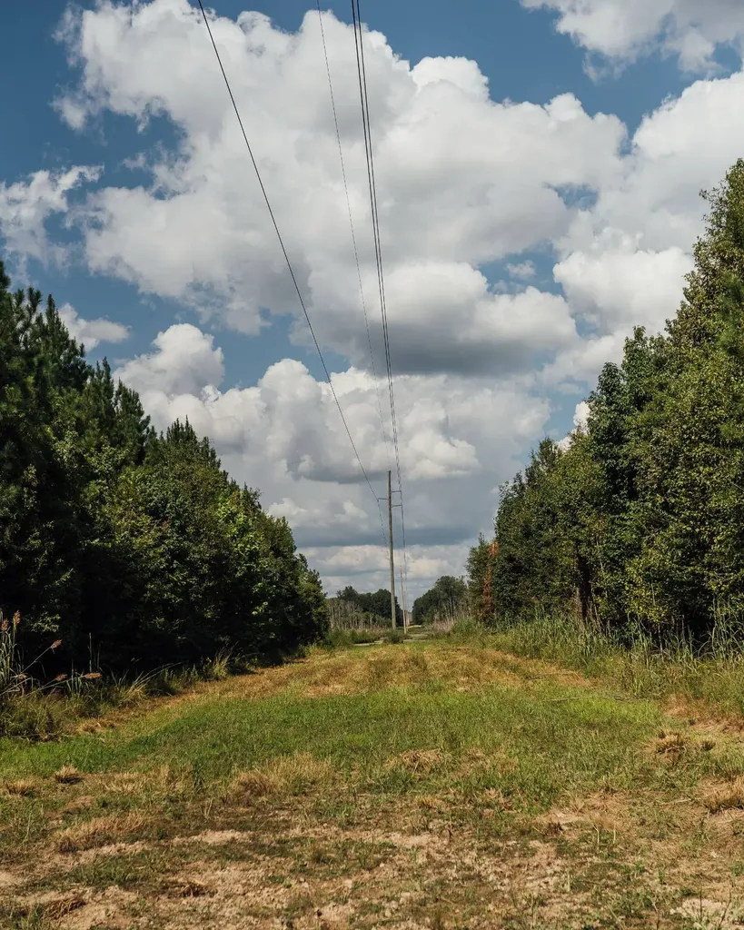 - Savage Street Millport AL 35576