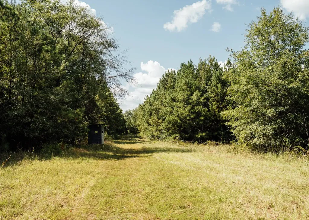- Savage Street Millport AL 35576