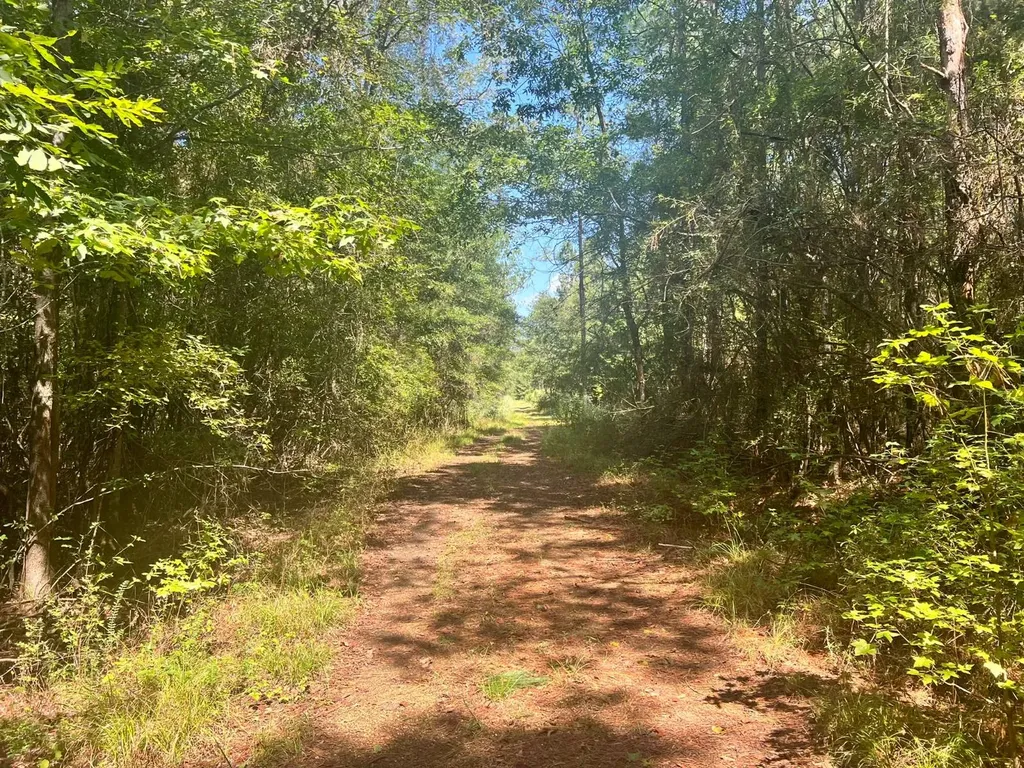 - Savage Street Millport AL 35576