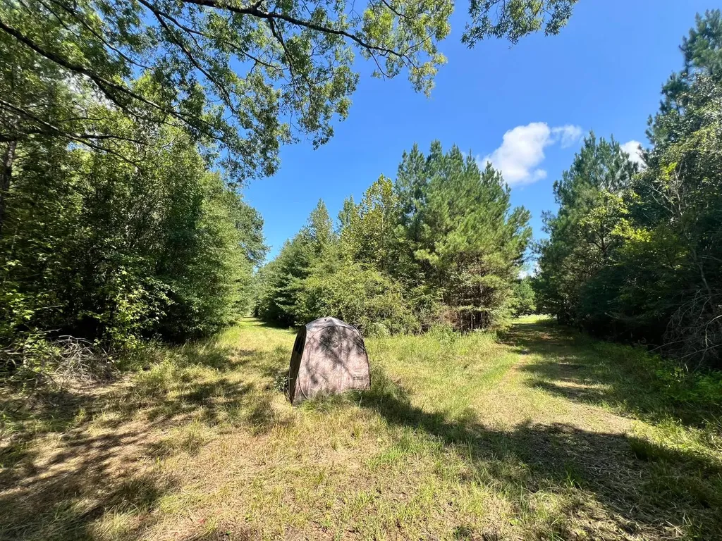- Savage Street Millport AL 35576