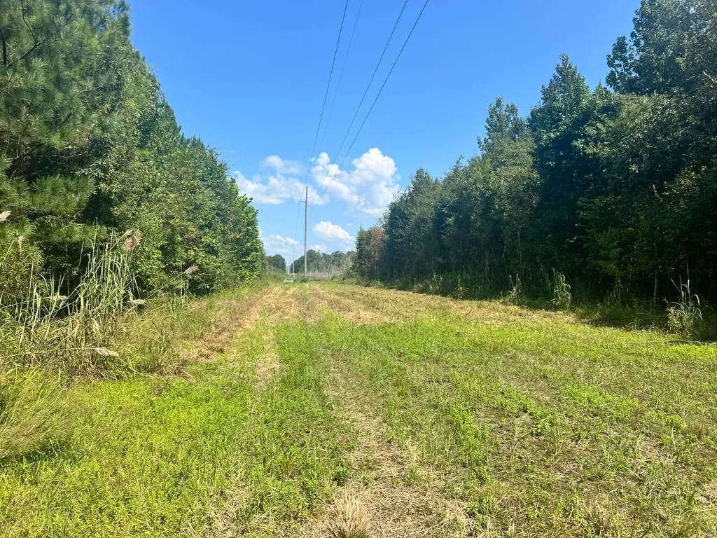 - Savage Street Millport AL 35576