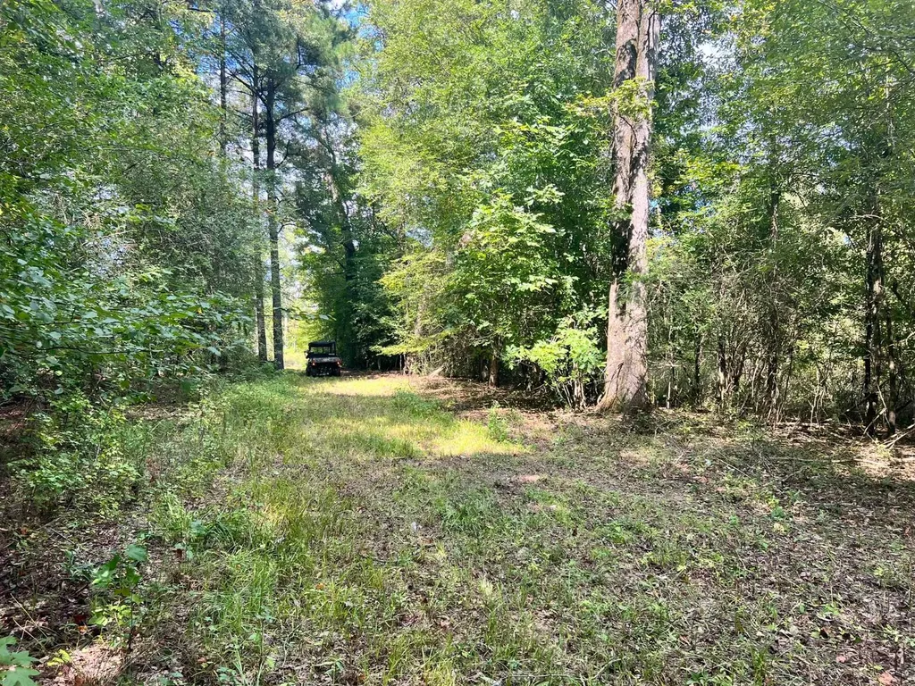 - Savage Street Millport AL 35576