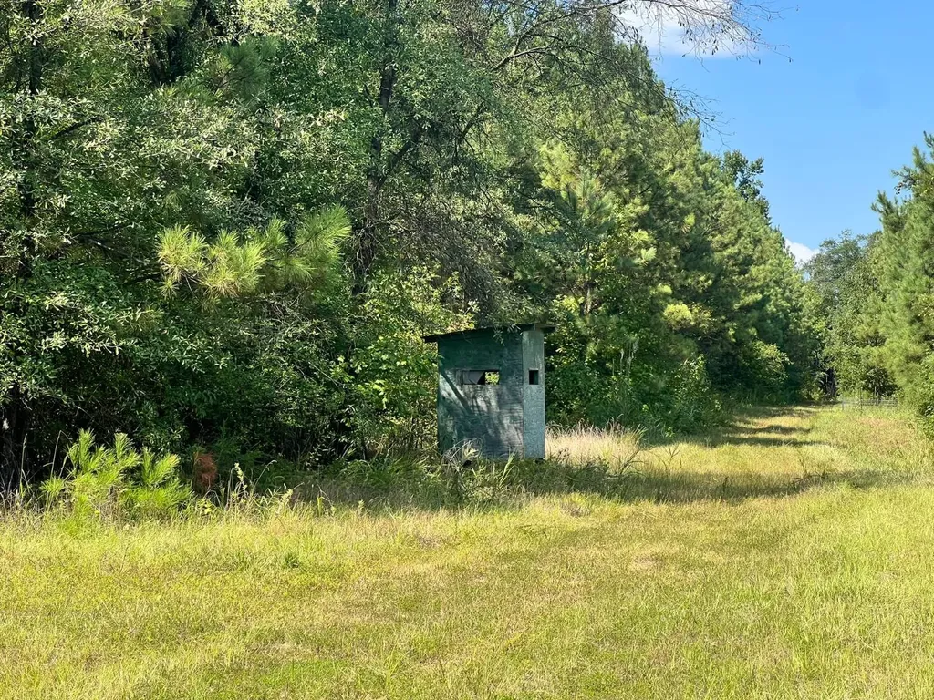 - Savage Street Millport AL 35576