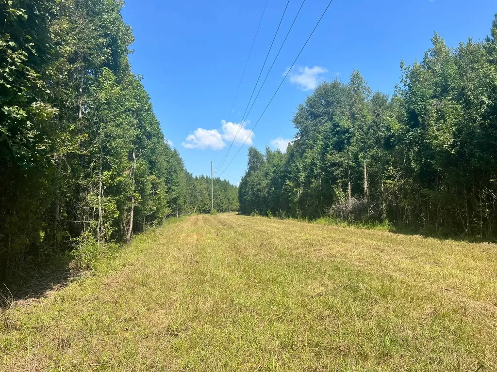 - Savage Street Millport AL 35576