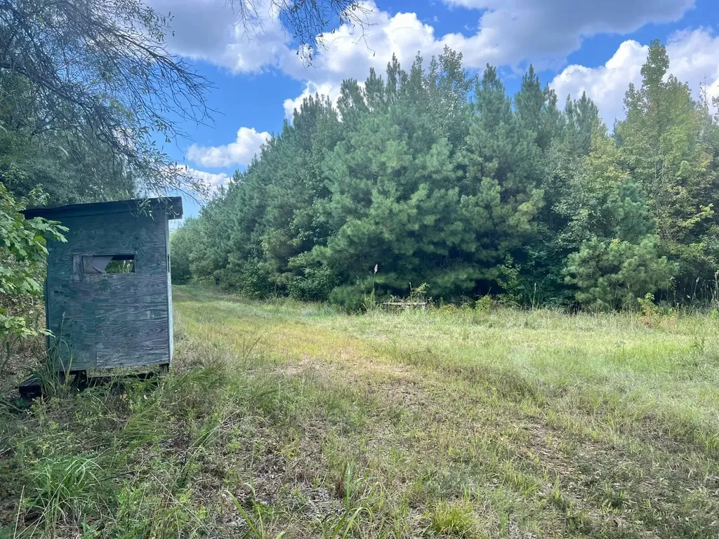- Savage Street Millport AL 35576