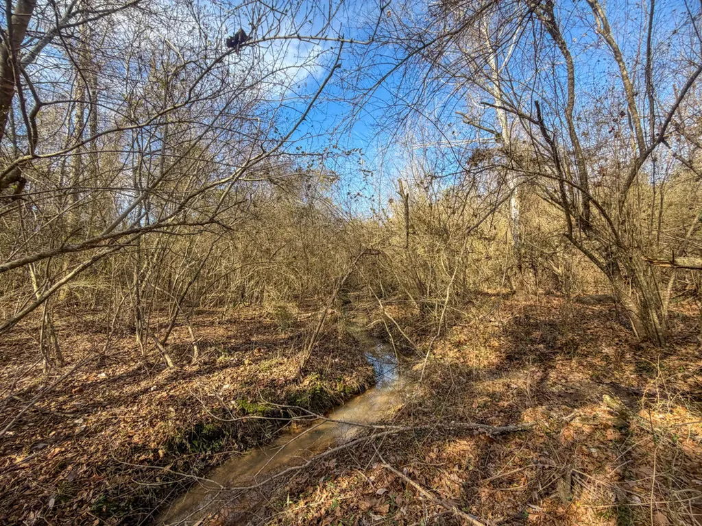 0 Alabama Highway 41 Camden AL 36726