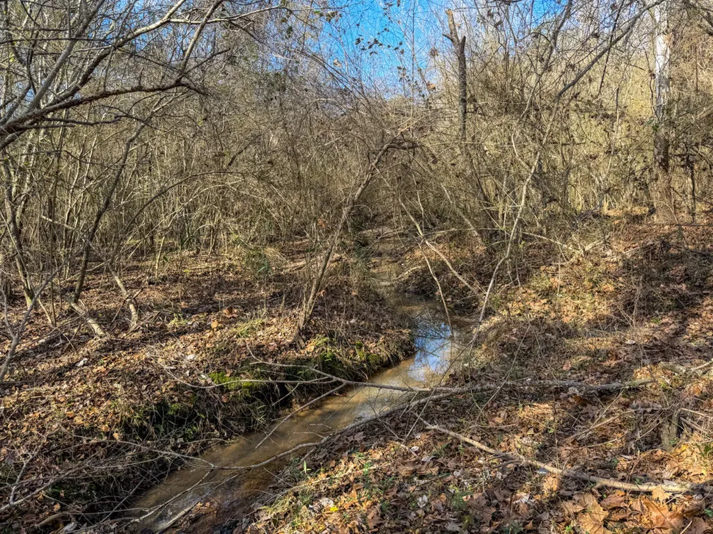 0 Alabama Highway 41 Camden AL 36726