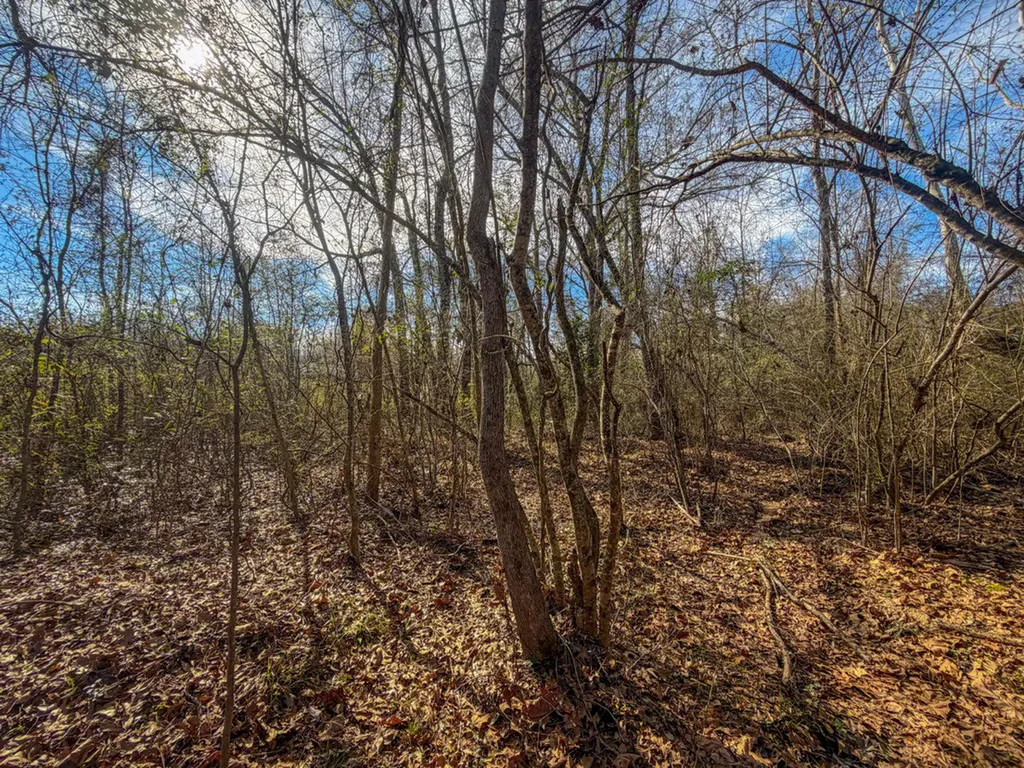 0 Alabama Highway 41 Camden AL 36726