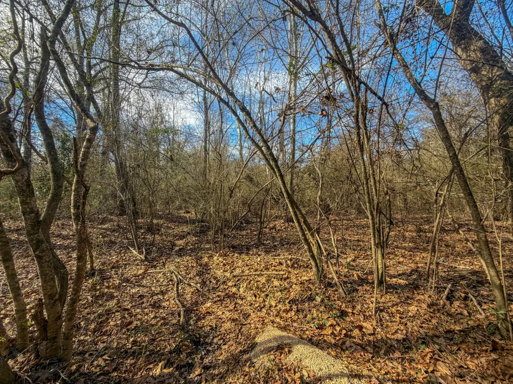 0 Alabama Highway 41 Camden AL 36726