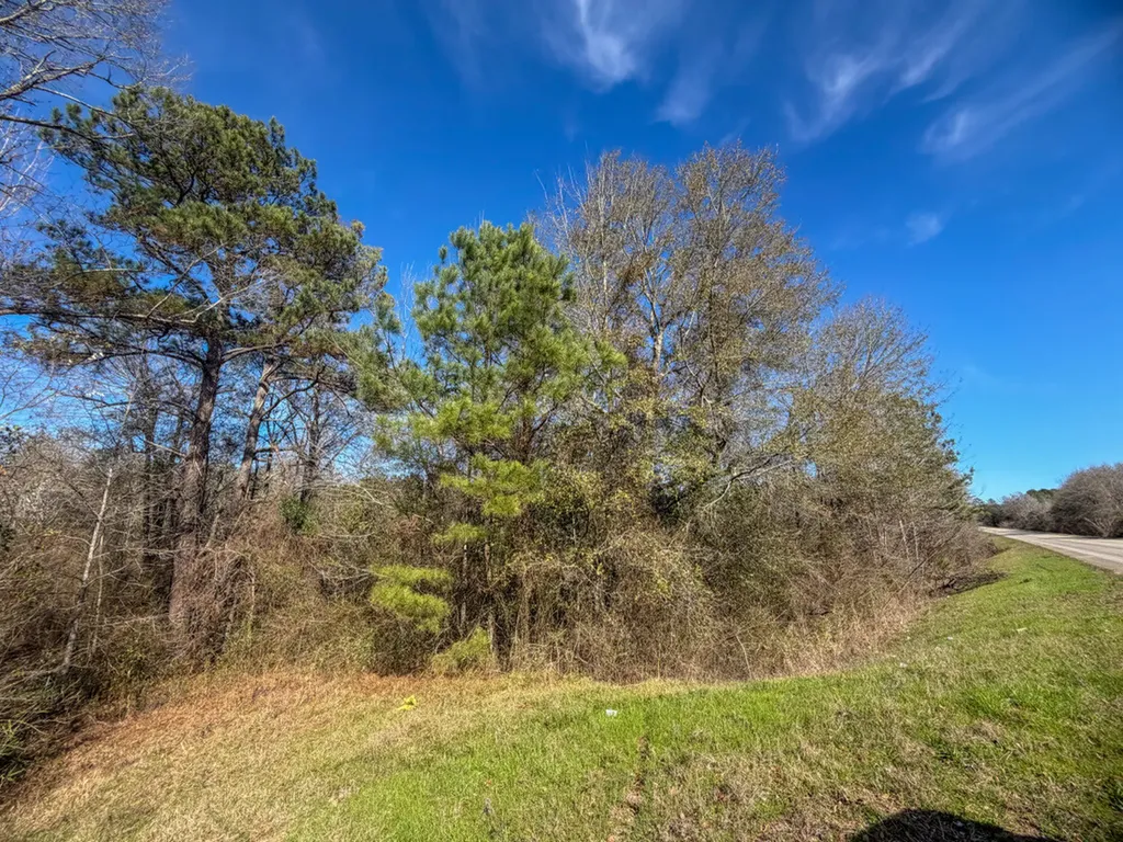 0 Alabama Highway 41 Camden AL 36726