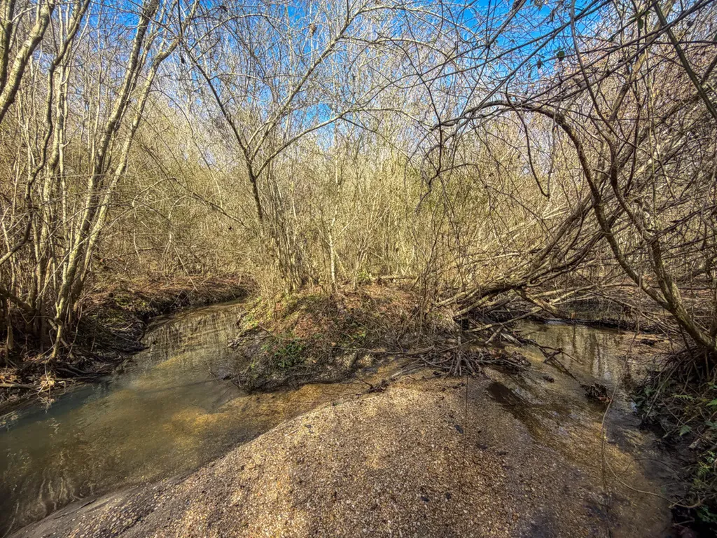 0 Alabama Highway 41 Camden AL 36726