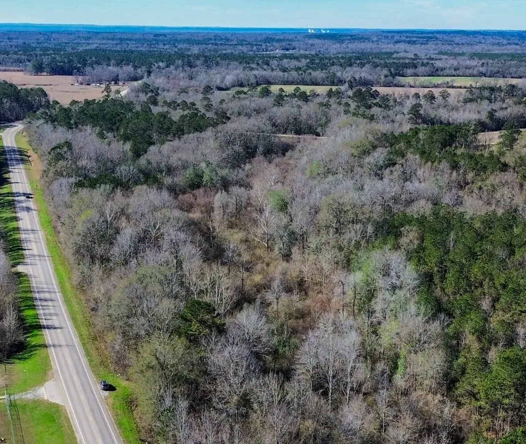 0 Alabama Highway 41 Camden AL 36726