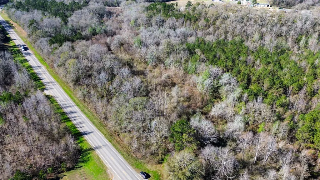 0 Alabama Highway 41 Camden AL 36726