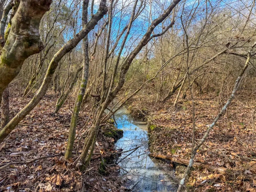 0 Alabama Highway 41 Camden AL 36726