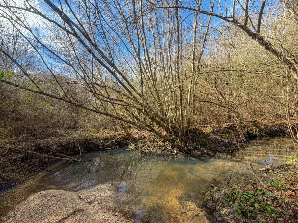 0 Alabama Highway 41 Camden AL 36726