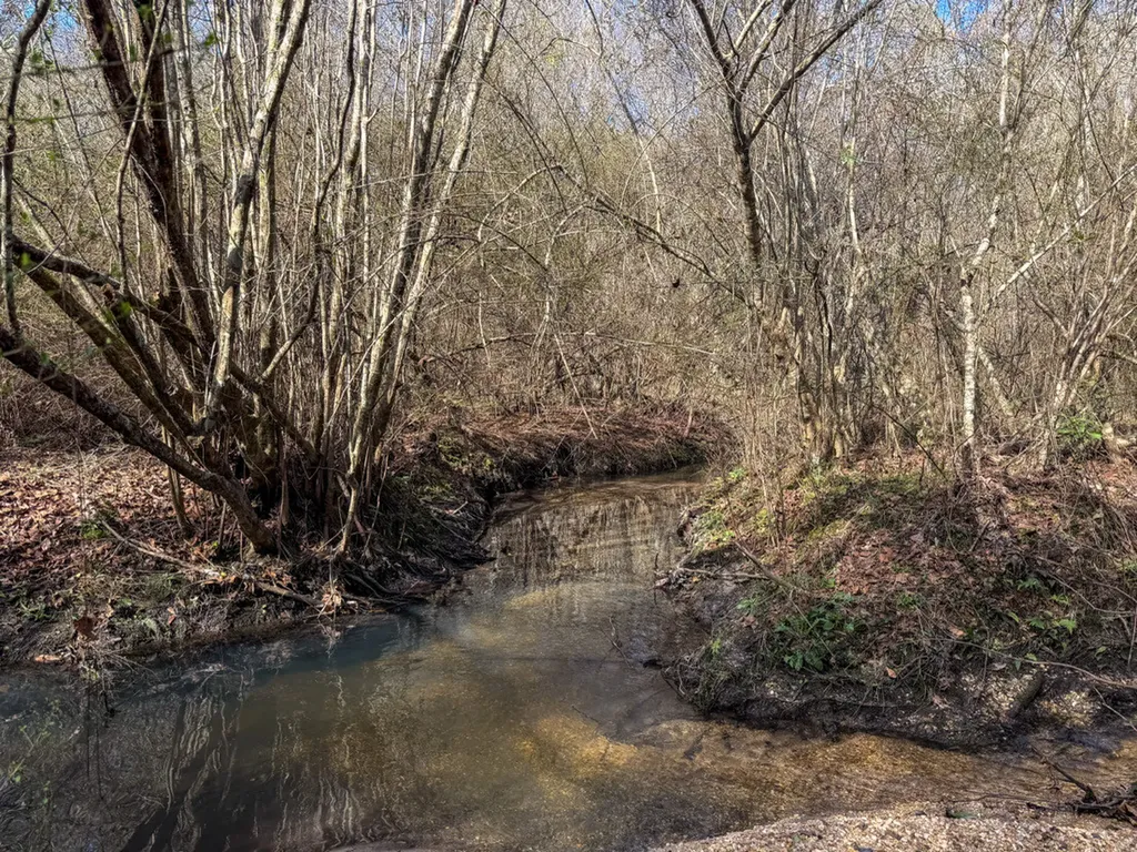 0 Alabama Highway 41 Camden AL 36726