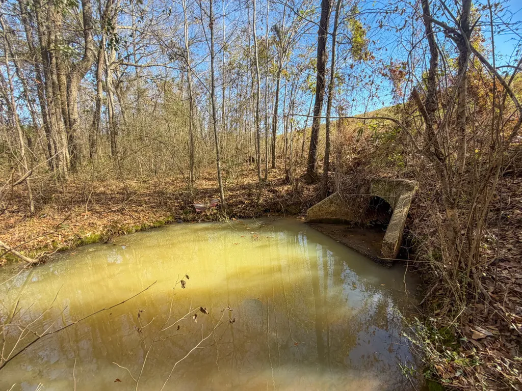 0 Alabama Highway 41 Camden AL 36726