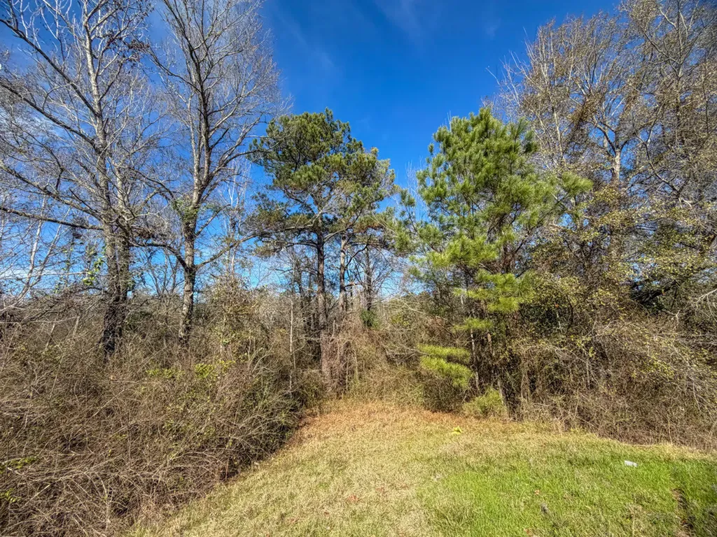 0 Alabama Highway 41 Camden AL 36726