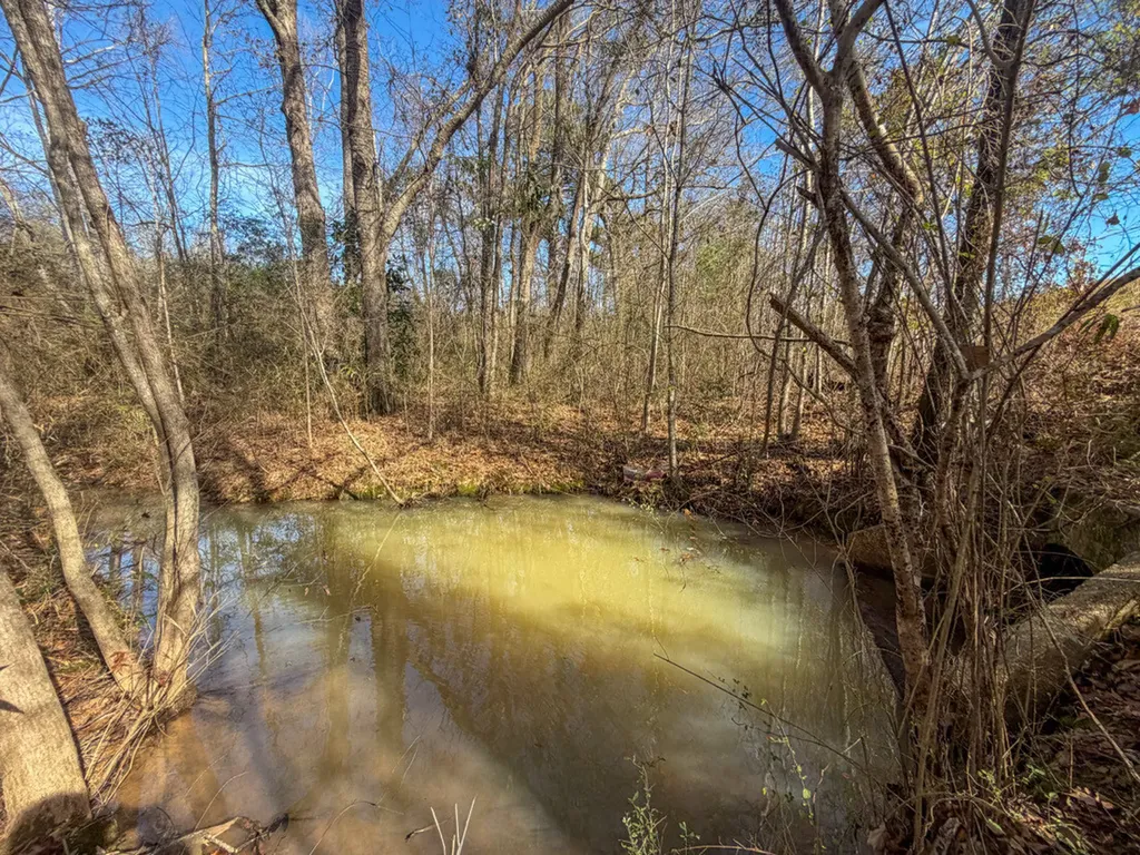 0 Alabama Highway 41 Camden AL 36726