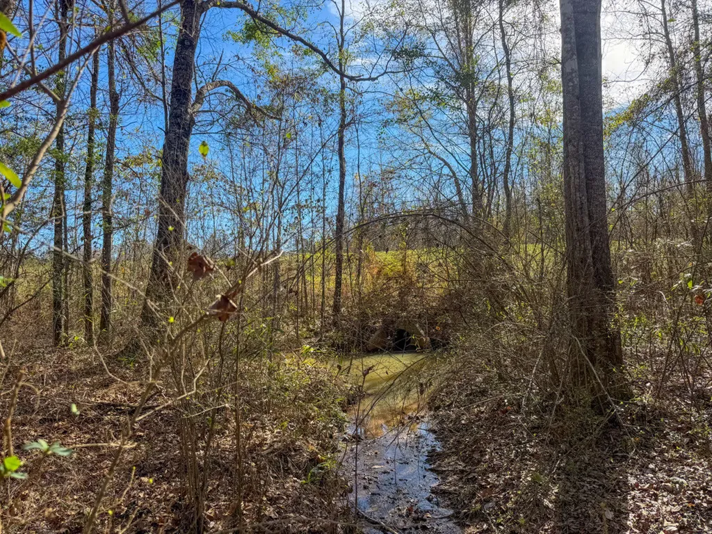 0 Alabama Highway 41 Camden AL 36726