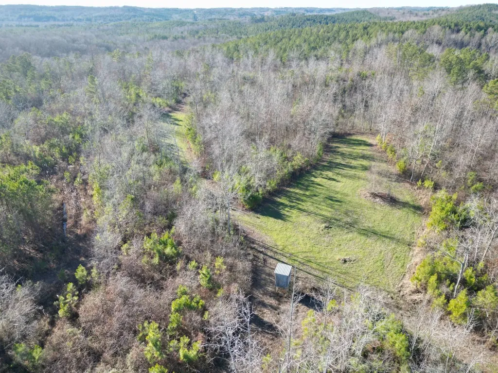 0 Chalkmine Road Hackleburg AL 35564