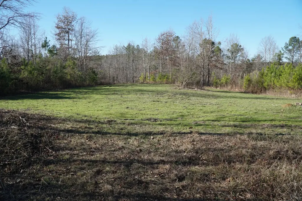 0 Chalkmine Road Hackleburg AL 35564