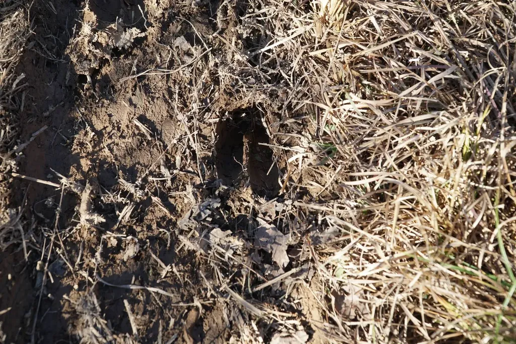 0 Chalkmine Road Hackleburg AL 35564