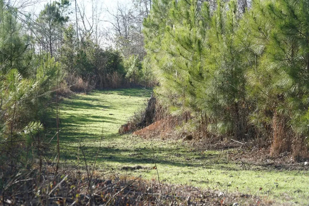 0 Chalkmine Road Hackleburg AL 35564