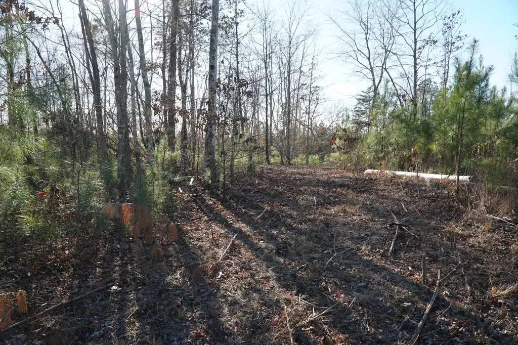 0 Chalkmine Road Hackleburg AL 35564