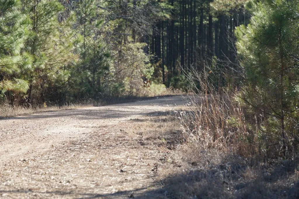 0 Chalkmine Road Hackleburg AL 35564