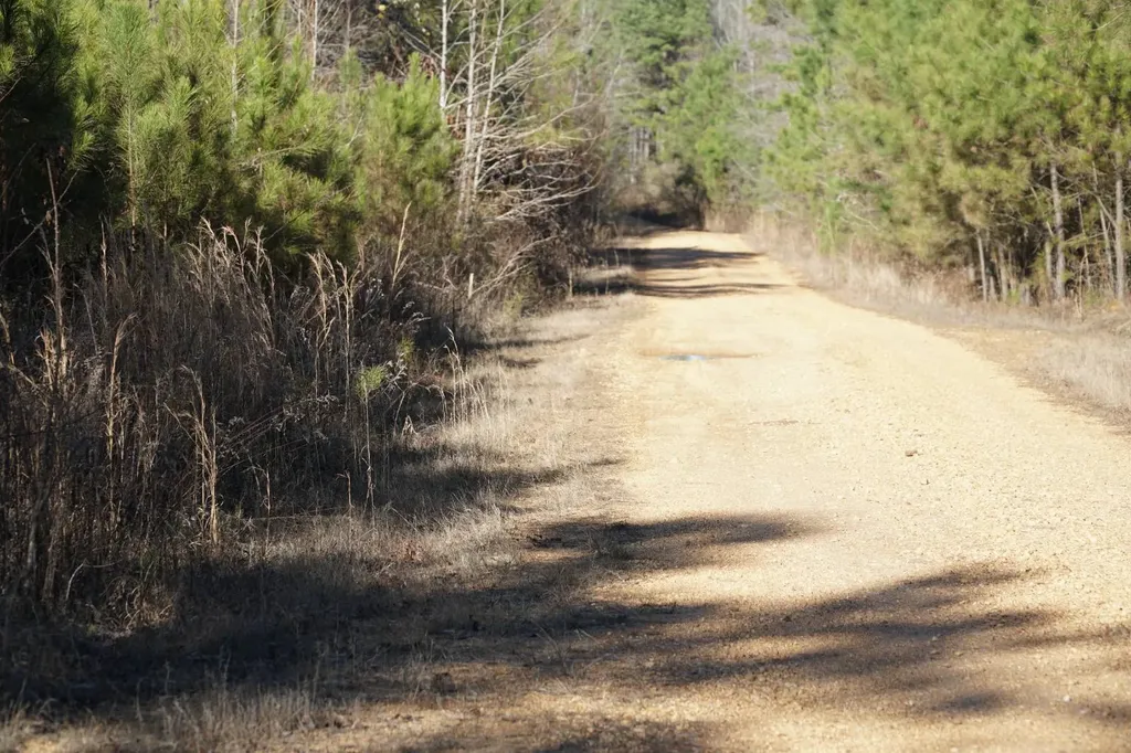 0 Chalkmine Road Hackleburg AL 35564