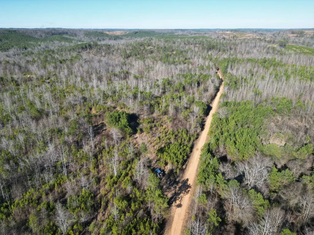 0 Chalkmine Road Hackleburg AL 35564