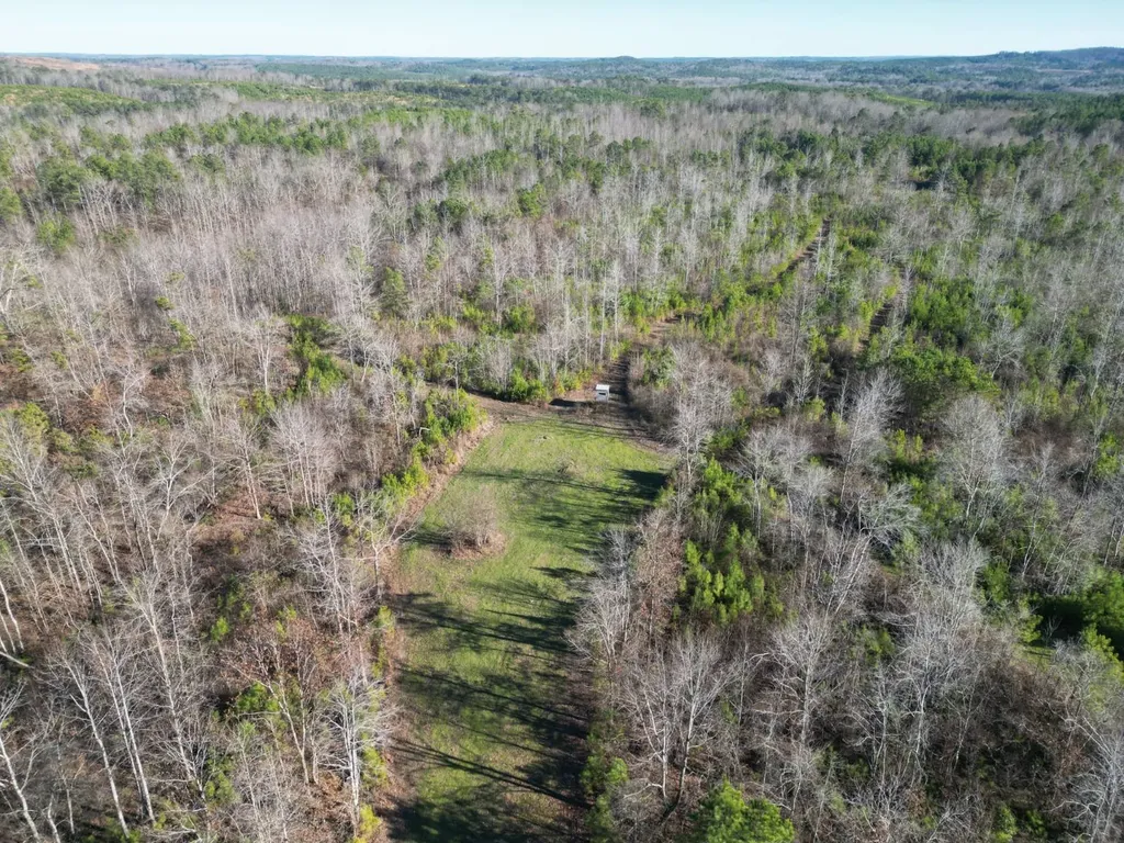 0 Chalkmine Road Hackleburg AL 35564