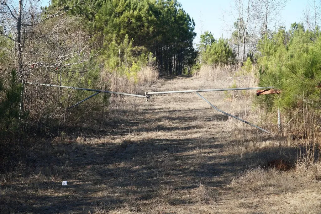 0 Chalkmine Road Hackleburg AL 35564