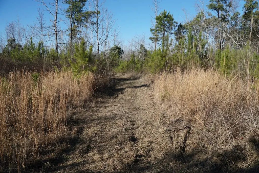 0 Chalkmine Road Hackleburg AL 35564