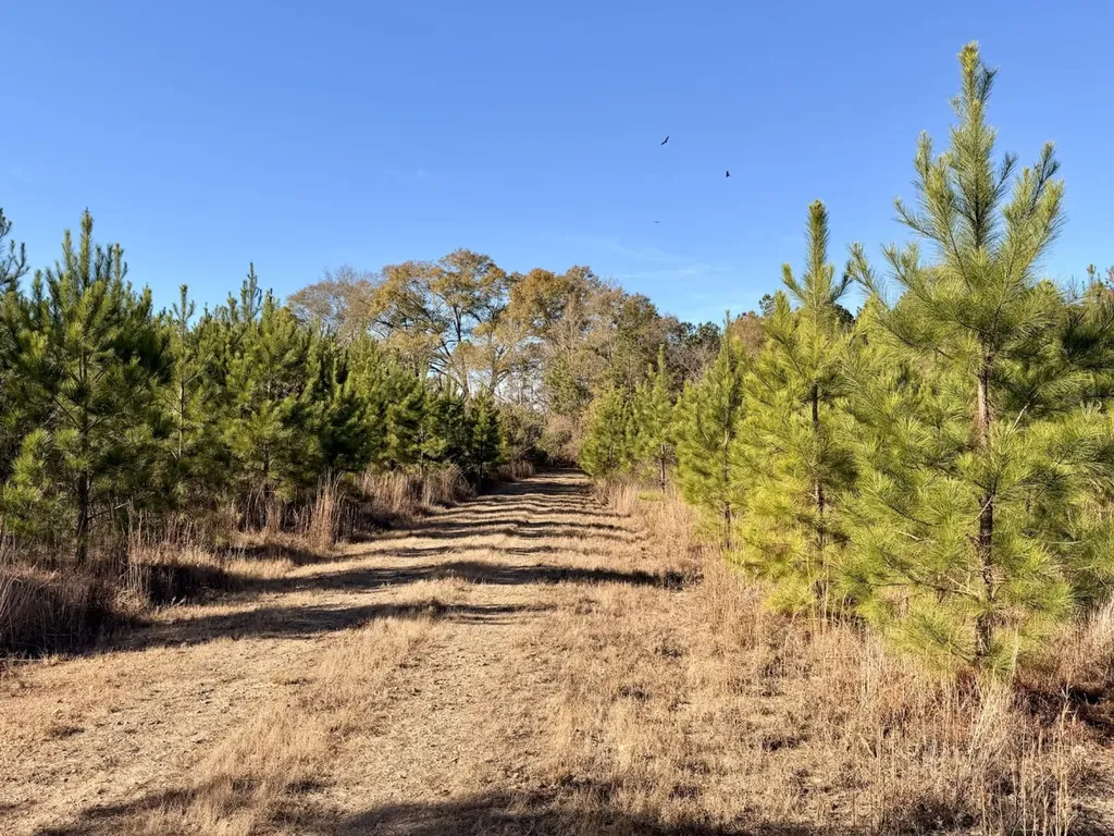 0 Butler Street 0 Wildfork Road Frisco City AL 36445