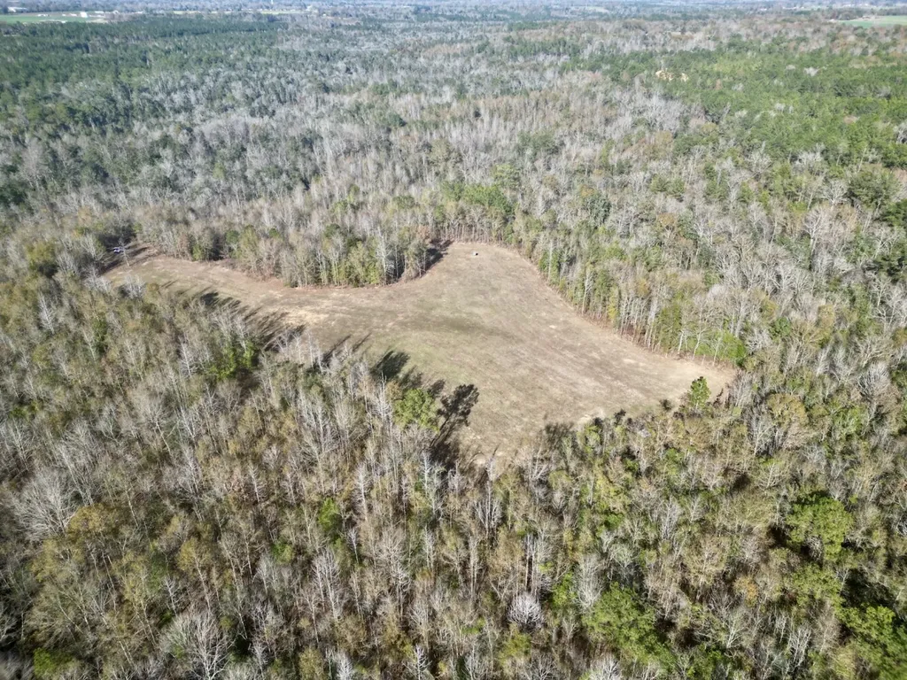 0 Butler Street 0 Wildfork Road Frisco City AL 36445