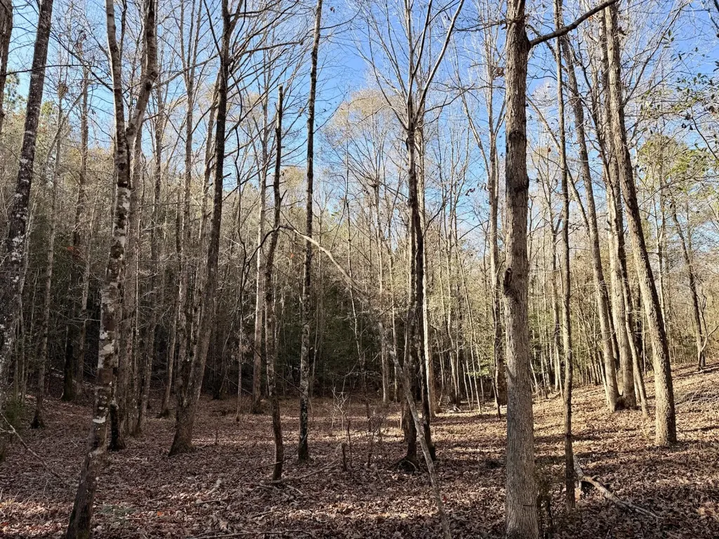 0 Butler Street 0 Wildfork Road Frisco City AL 36445