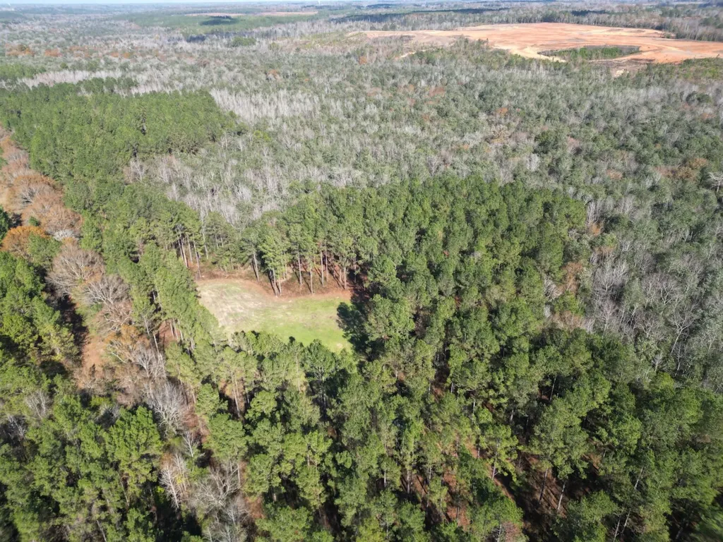 0 Butler Street 0 Wildfork Road Frisco City AL 36445