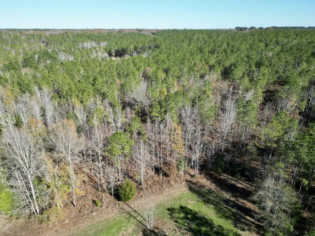 0 Butler Street 0 Wildfork Road Frisco City AL 36445