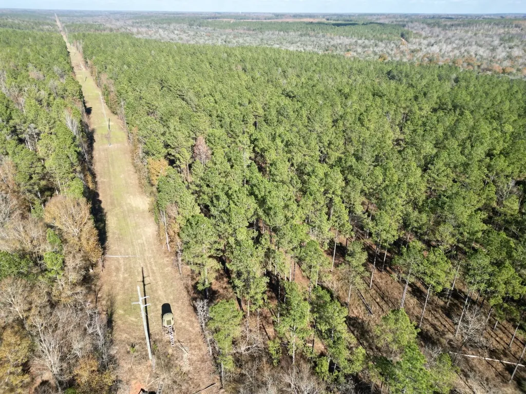 0 Butler Street 0 Wildfork Road Frisco City AL 36445