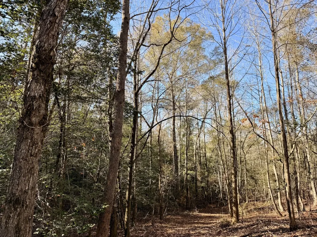 0 Butler Street 0 Wildfork Road Frisco City AL 36445