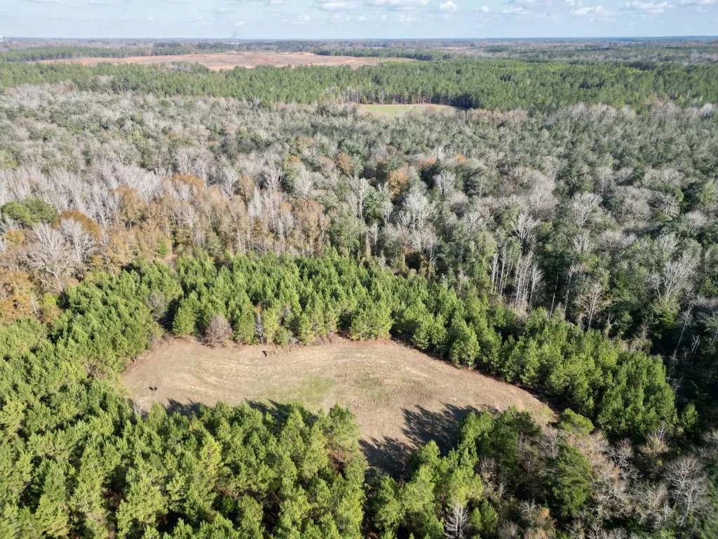 0 Butler Street 0 Wildfork Road Frisco City AL 36445