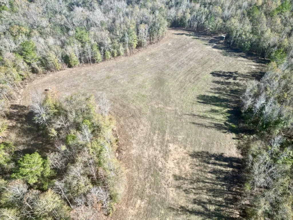 0 Butler Street 0 Wildfork Road Frisco City AL 36445