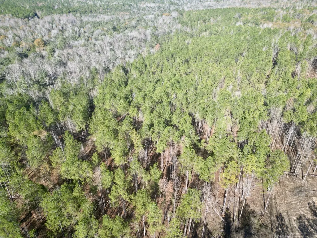 0 Butler Street 0 Wildfork Road Frisco City AL 36445