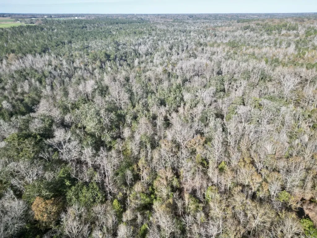 0 Butler Street 0 Wildfork Road Frisco City AL 36445