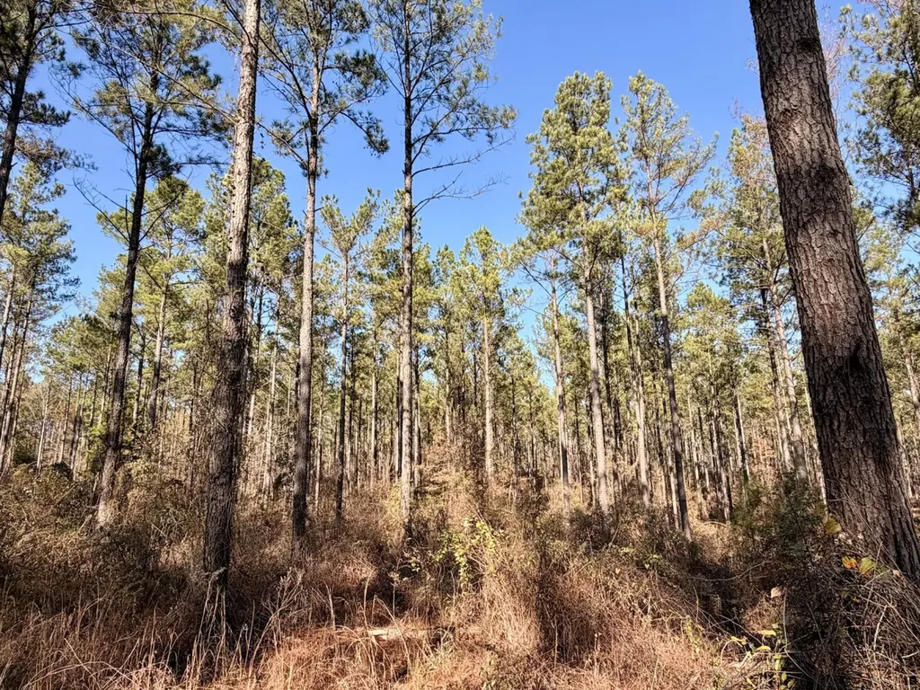 0 Butler Street 0 Wildfork Road Frisco City AL 36445