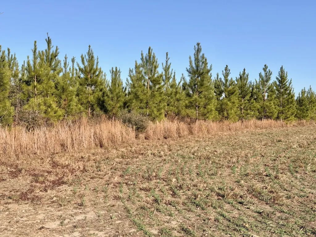 0 Butler Street 0 Wildfork Road Frisco City AL 36445