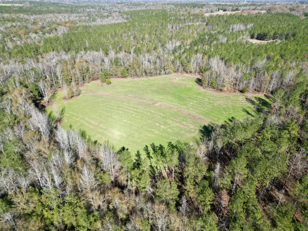 0 Butler Street 0 Wildfork Road Frisco City AL 36445