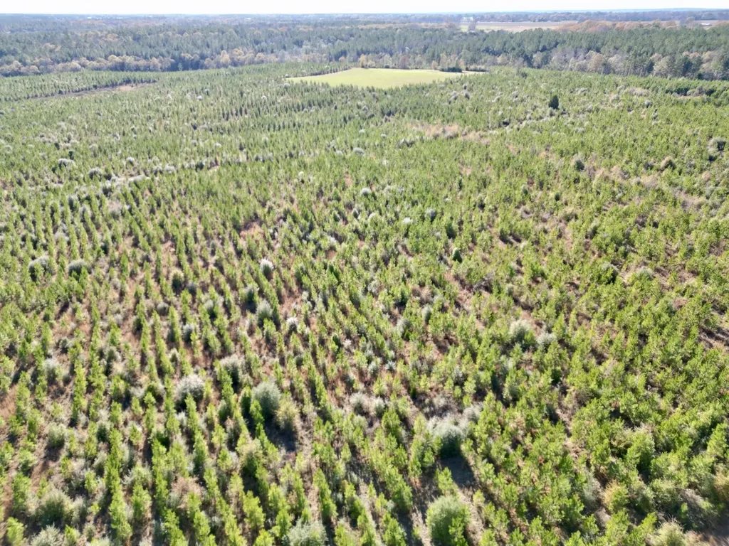 0 Butler Street 0 Wildfork Road Frisco City AL 36445